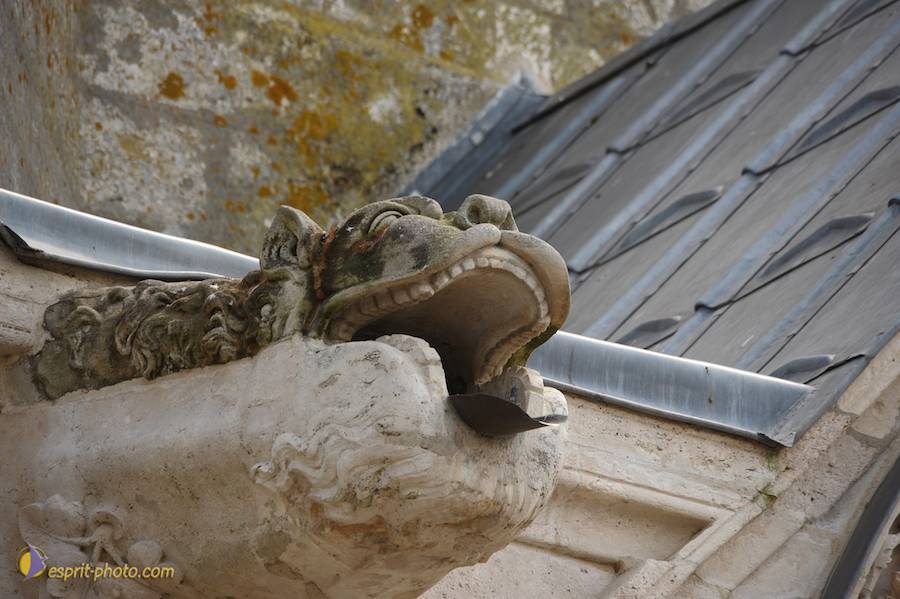 Nom de l'image : D30058146_1_(c)Norbert-JUNG — Description :